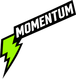 Momentum